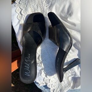 Wild Pair Transparent Black Heeled Sandals